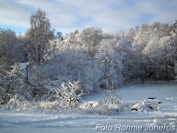 Vinter i Paradiset